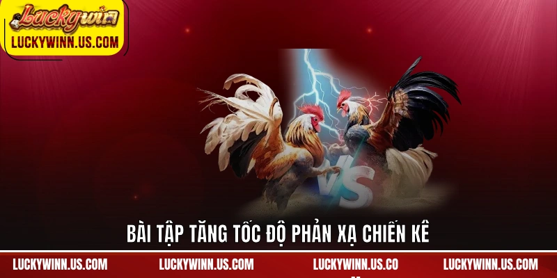 Bài tập tăng tốc độ phản xạ chiến kê