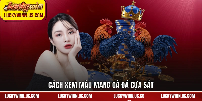 Cách xem màu mạng gà đá cựa sắt