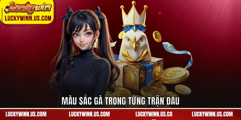 Màu sắc gà trong từng trận đấu
